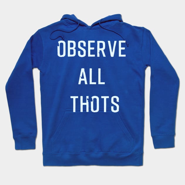 Funny Ironic Observe All Thots Hoodie by Aquarian Apparel